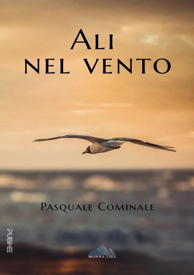 Book cover for Ali nel vento