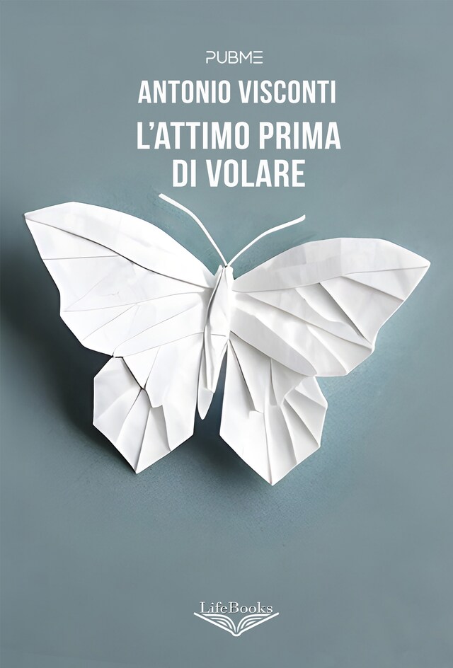 Boekomslag van L'attimo prima di volare