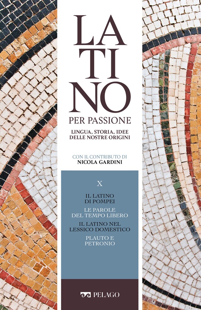 Bogomslag for Il latino di Pompei. Le parole del tempo libero. Il latino nel lessico domestico. Plauto e Petronio