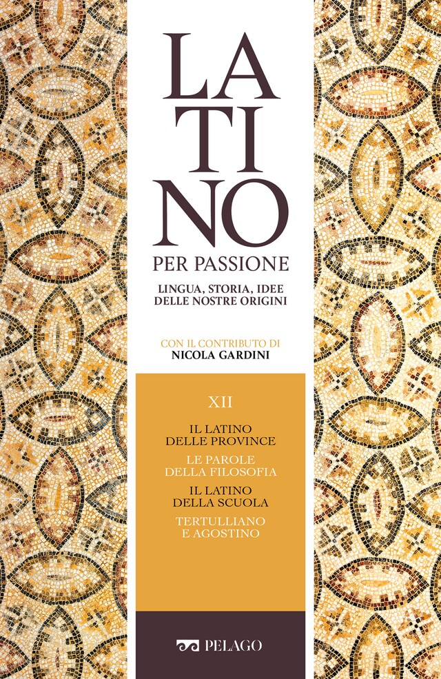 Kirjankansi teokselle Il latino delle province. Le parole della filosofia. Il latino della scuola. Tertulliano e Agostino