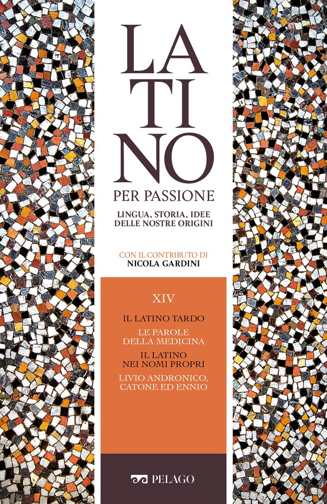 Bogomslag for Il latino tardo. Le parole della medicina. Il latino nei nomi propri. Livio Andronico, Catone ed Ennio