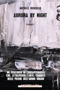 Aurora by night