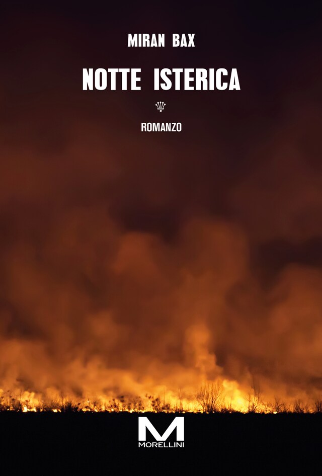 Copertina del libro per Notte isterica