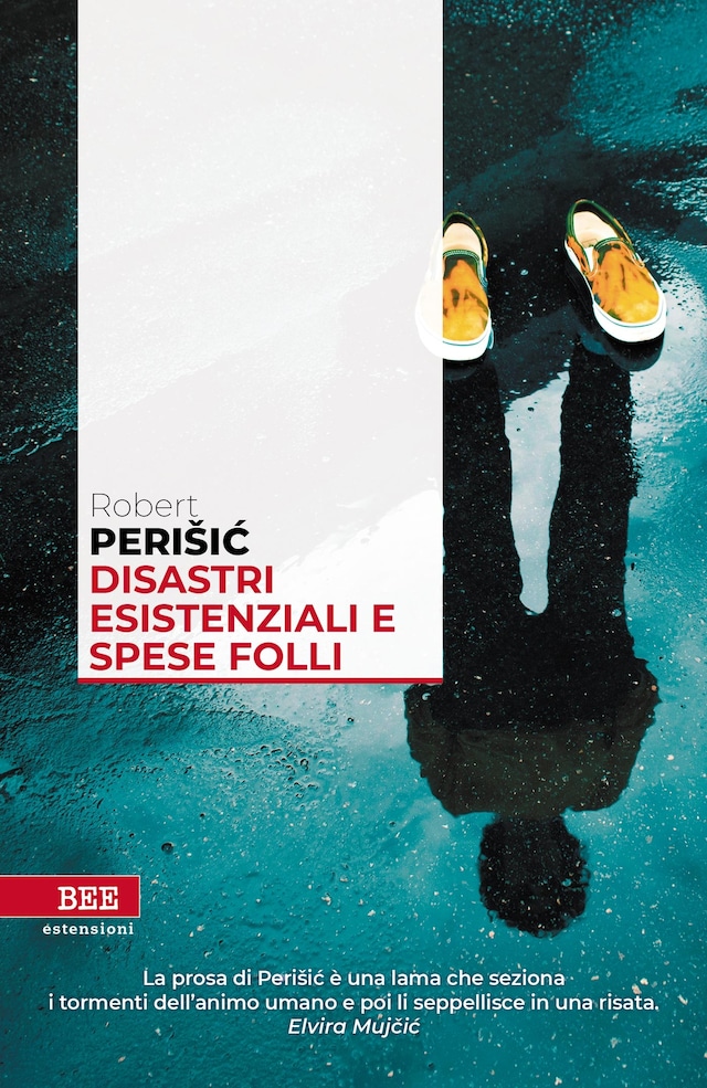 Book cover for Disastri esistenziali e spese folli