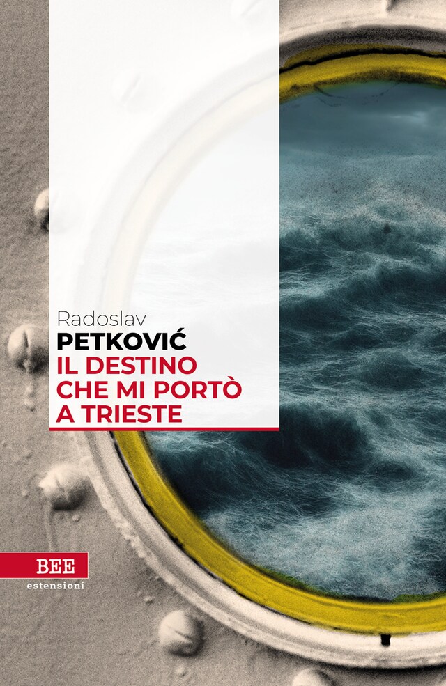 Kirjankansi teokselle Il destino che mi portò a Trieste