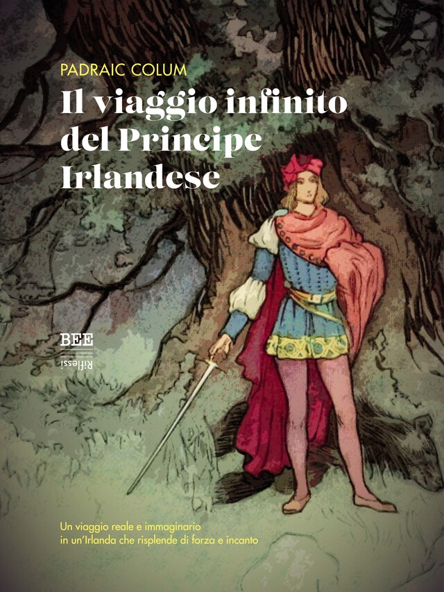 Buchcover für Il viaggio infinito del Principe Irlandese