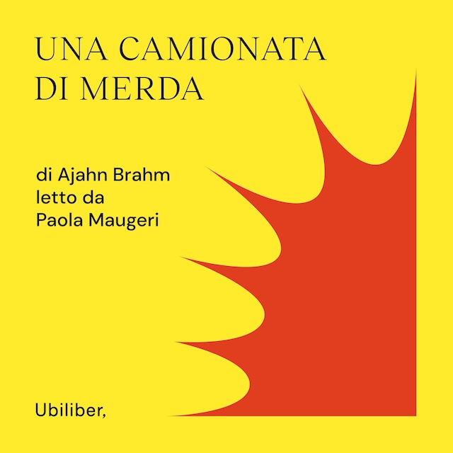 Book cover for Una camionata di merda