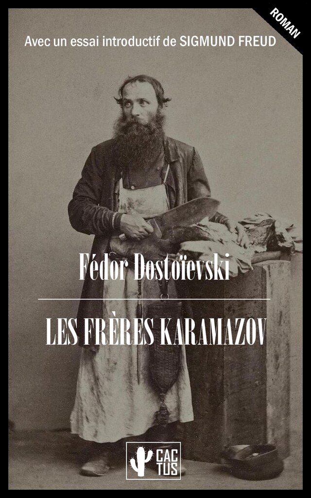 Bogomslag for Les frères Karamazov