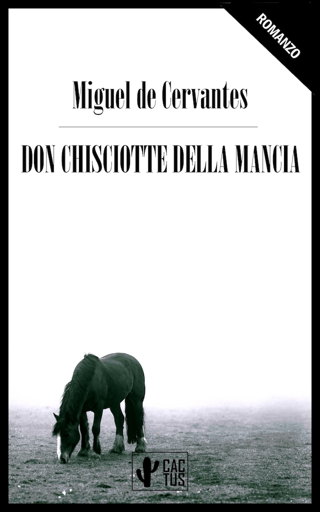 Book cover for Don Chisciotte della Mancia