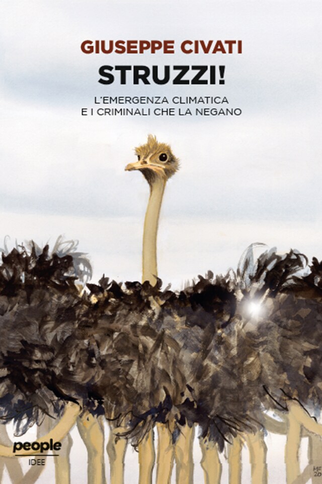 Copertina del libro per Struzzi!