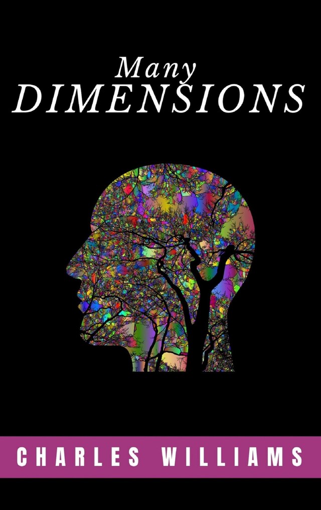 Copertina del libro per Many Dimensions