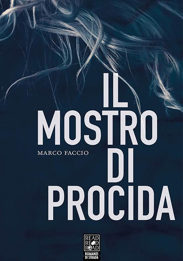 Book cover for Il mostro di Procida