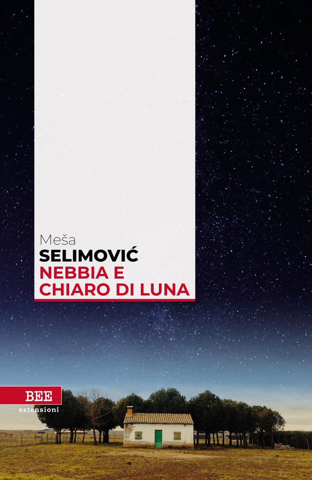 Book cover for Nebbia e chiaro di luna