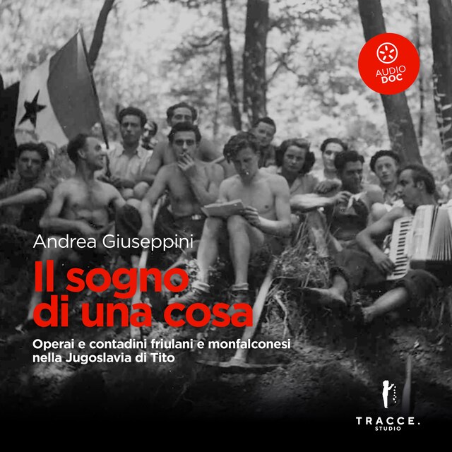 Book cover for Il sogno di una cosa