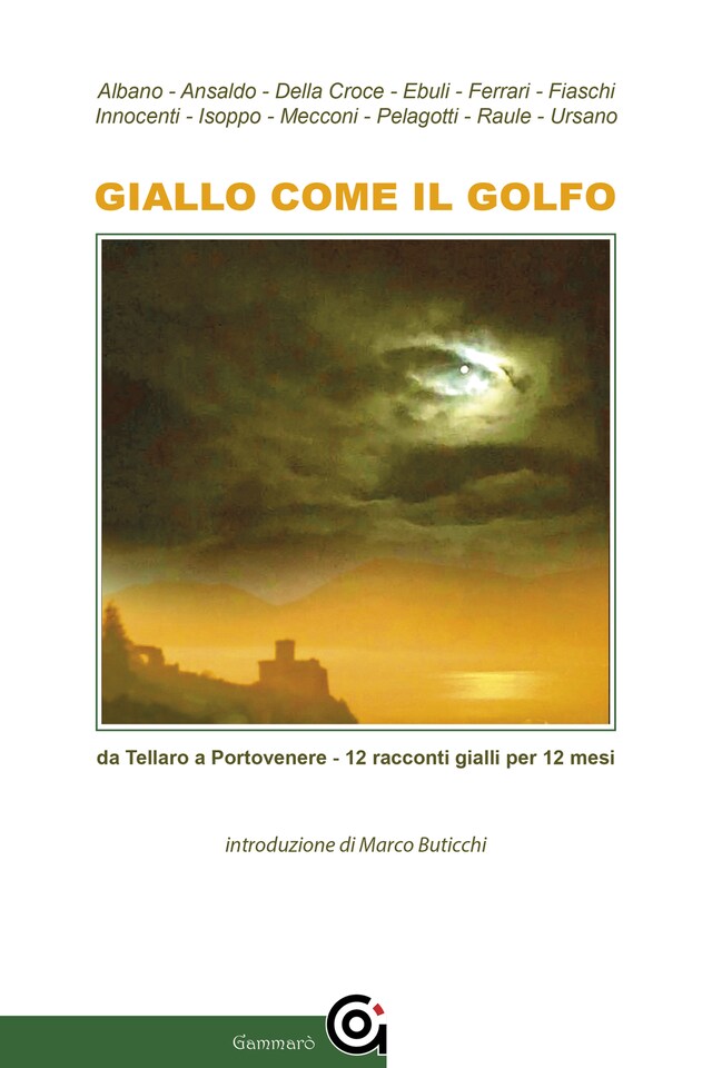 Book cover for Giallo come il Golfo