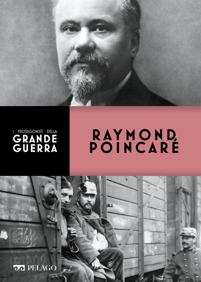 Book cover for Raymond Poincaré