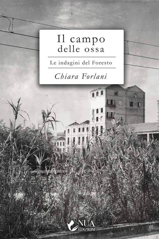 Couverture de livre pour Il campo delle ossa