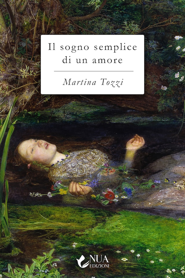 Book cover for Il sogno semplice di un amore