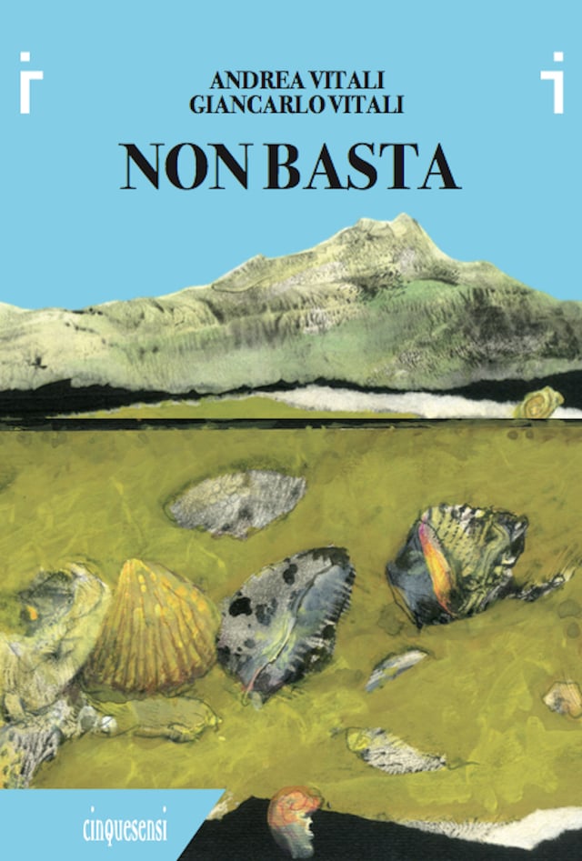 Book cover for Non Basta