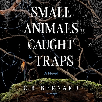 Small Animals Caught in Traps
