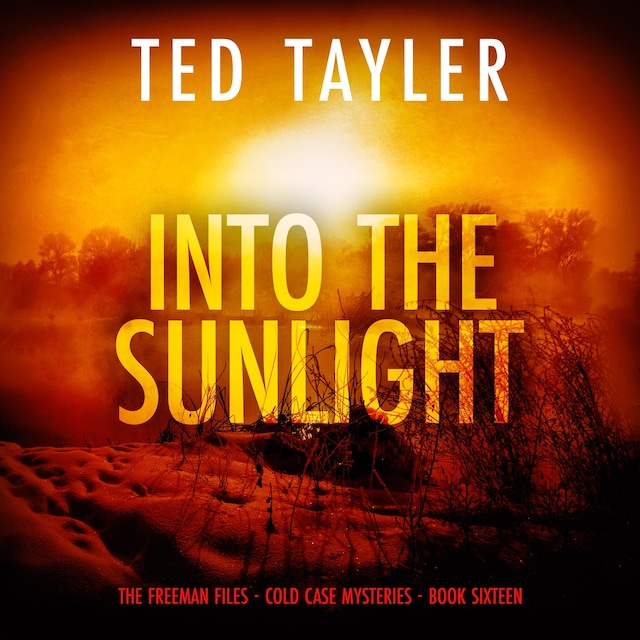 Book cover for Into the Sunlight