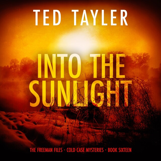 Couverture de livre pour Into the Sunlight