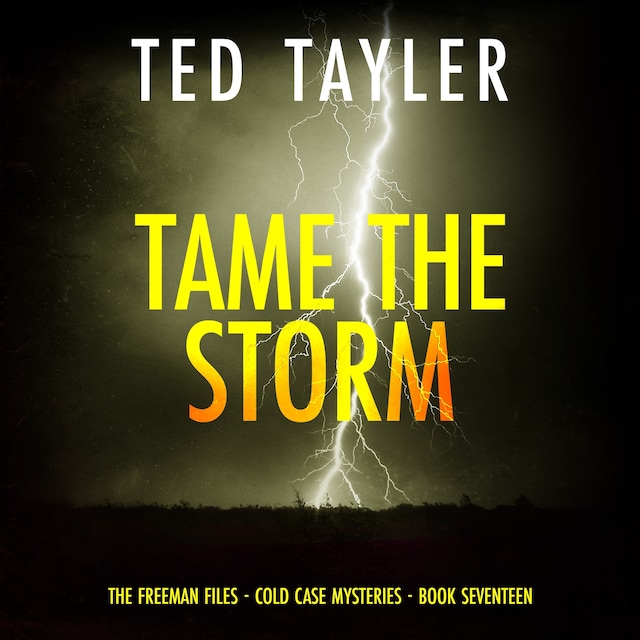 Bogomslag for Tame the Storm