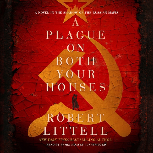 Book cover for A Plague on Both Your Houses