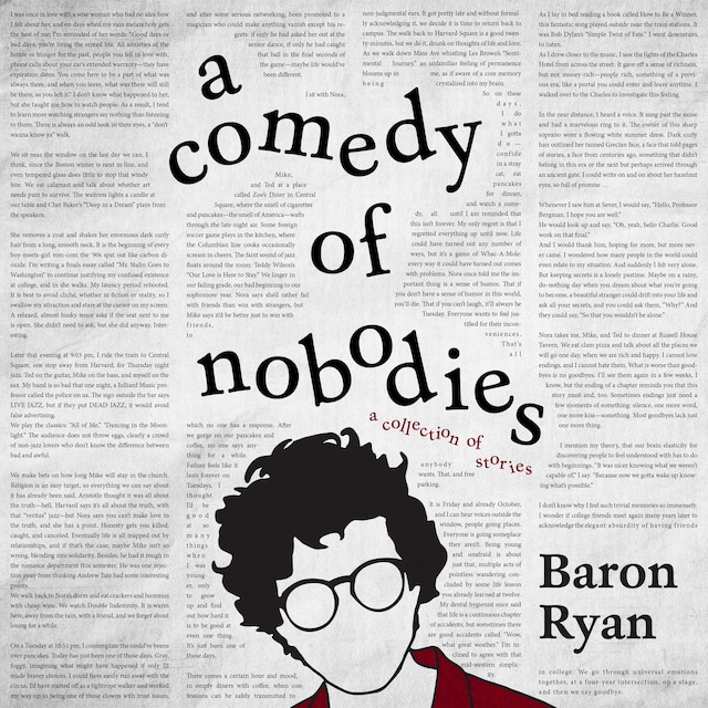 Book cover for A Comedy of Nobodies