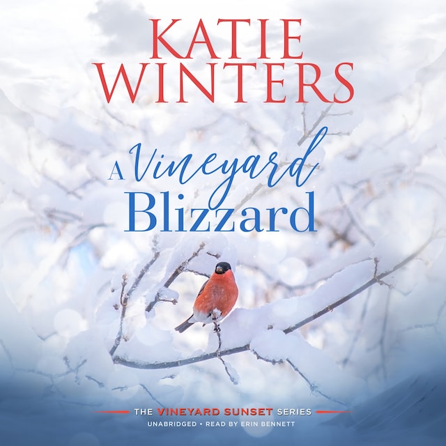 Book cover for A Vineyard Blizzard