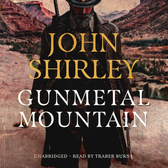 Couverture de livre pour Gunmetal Mountain
