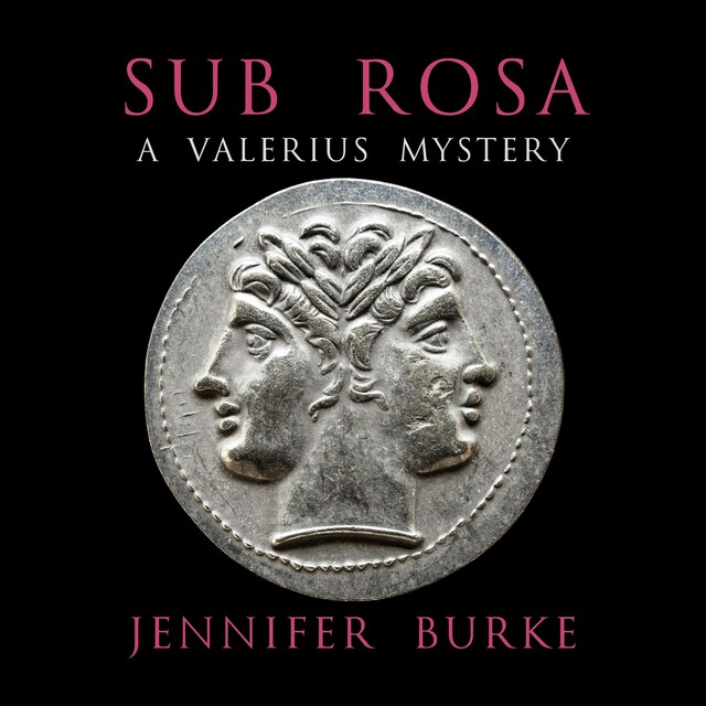 Book cover for Sub Rosa