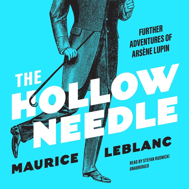 Buchcover für The Hollow Needle
