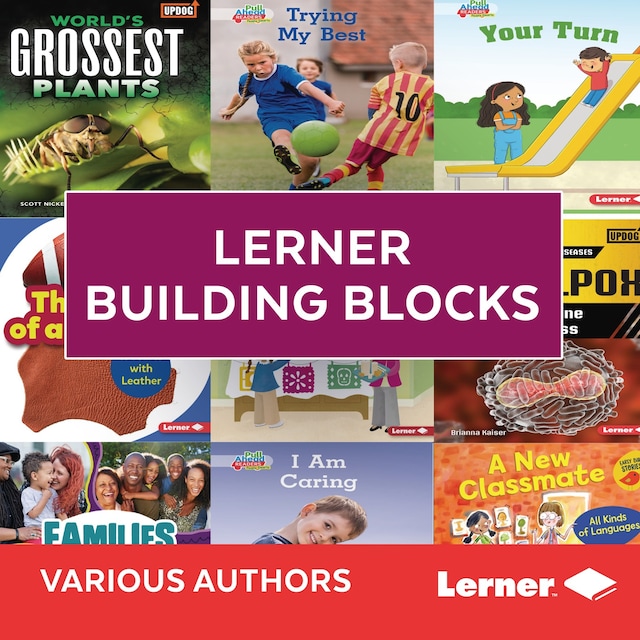Book cover for Lerner Building Blocks