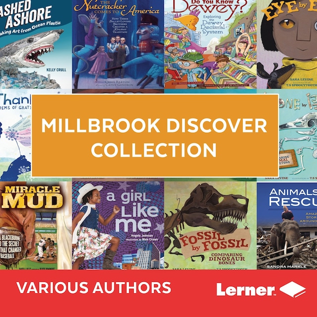 Buchcover für Millbrook Discover Collection