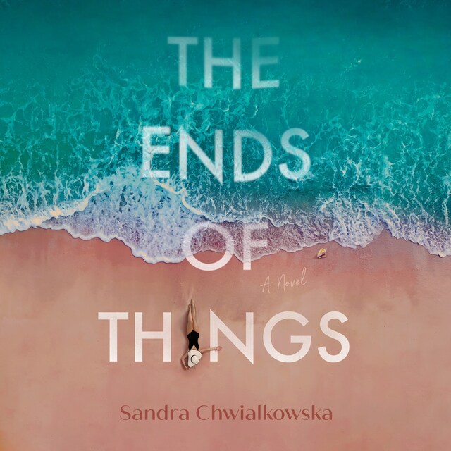 Book cover for The Ends of Things