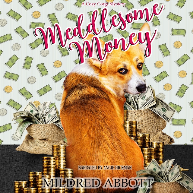 Book cover for Meddlesome Money