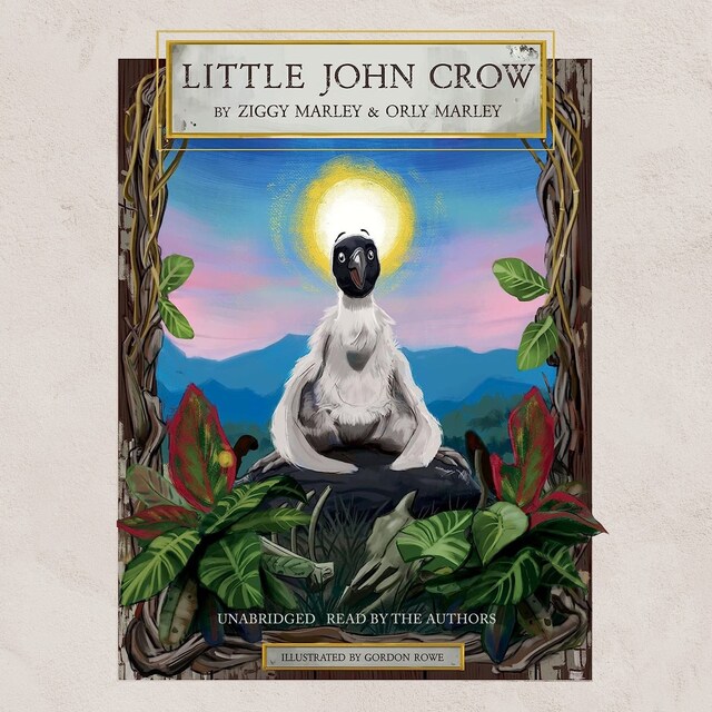 Book cover for Little John Crow