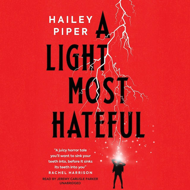 Book cover for A Light Most Hateful