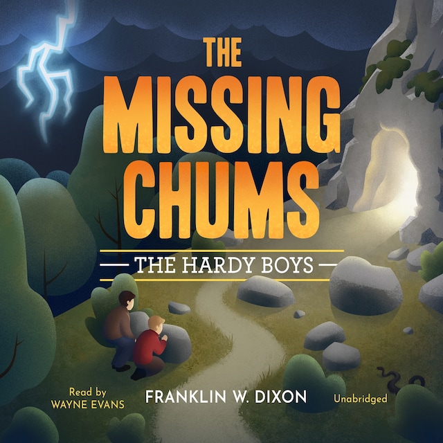 Book cover for The Missing Chums