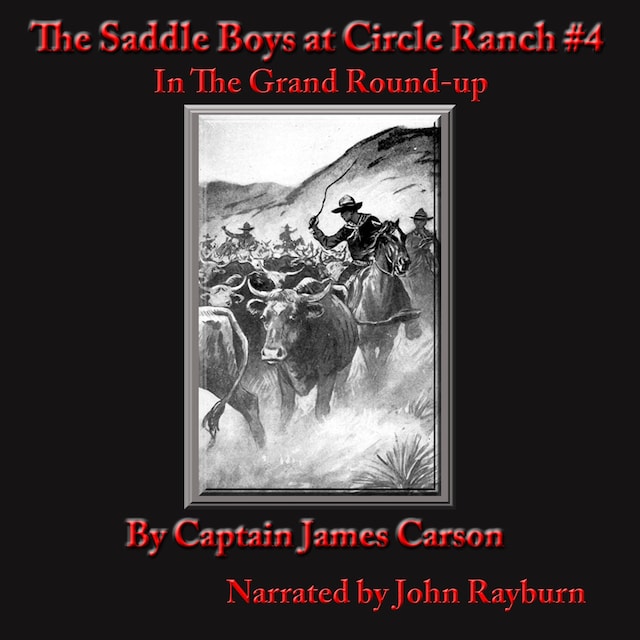 Book cover for The Saddle Boys at Circle Ranch