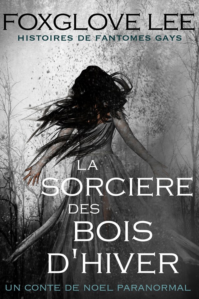 Bokomslag for La sorcière des bois d'hiver