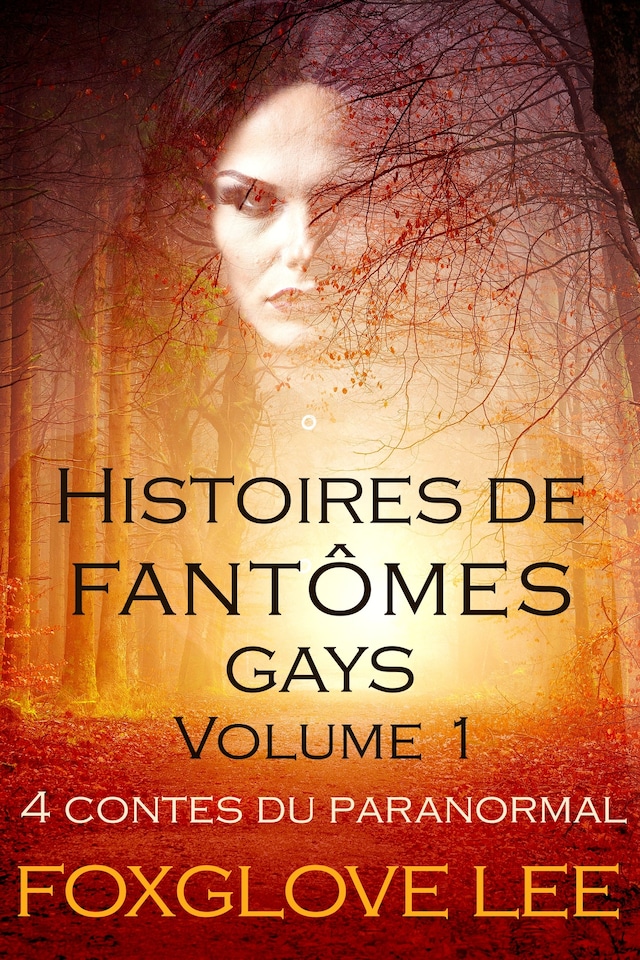 Book cover for Histoires de fantômes gays volume 1