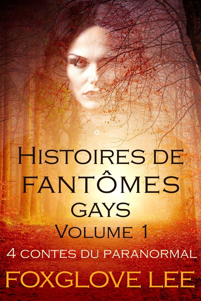 Histoires de fantômes gays volume 1 Okładka książki dla Histoires de fantômes gays volume 1