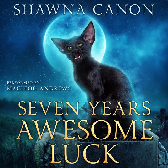 Buchcover für Seven Years Awesome Luck