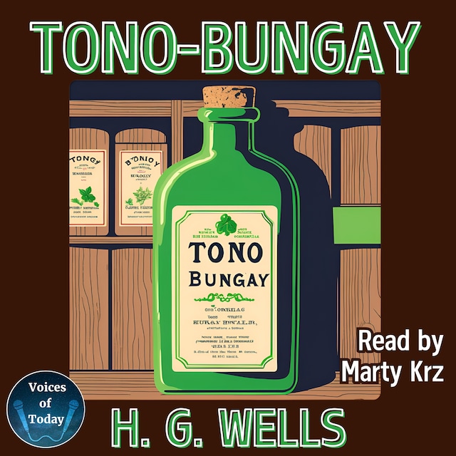 Boekomslag van Tono-Bungay