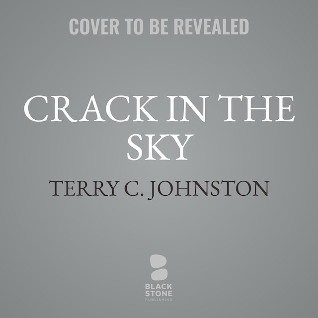 Book cover for Crack in the Sky