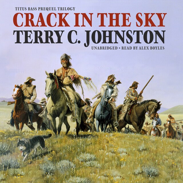 Book cover for Crack in the Sky