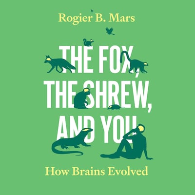 The Fox, the Shrew, and You