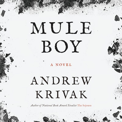 Mule Boy